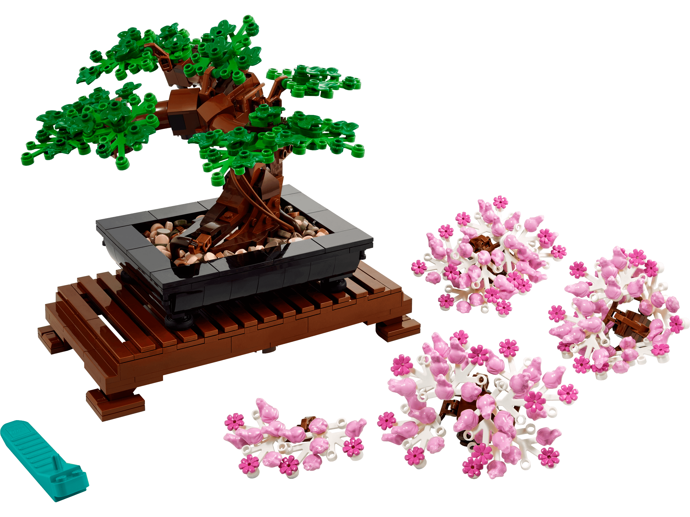 Botanicals Bonsai Tree