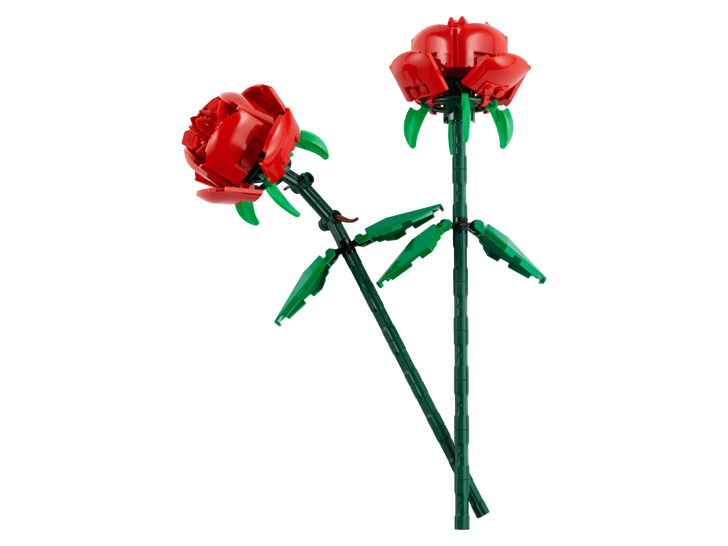Roses