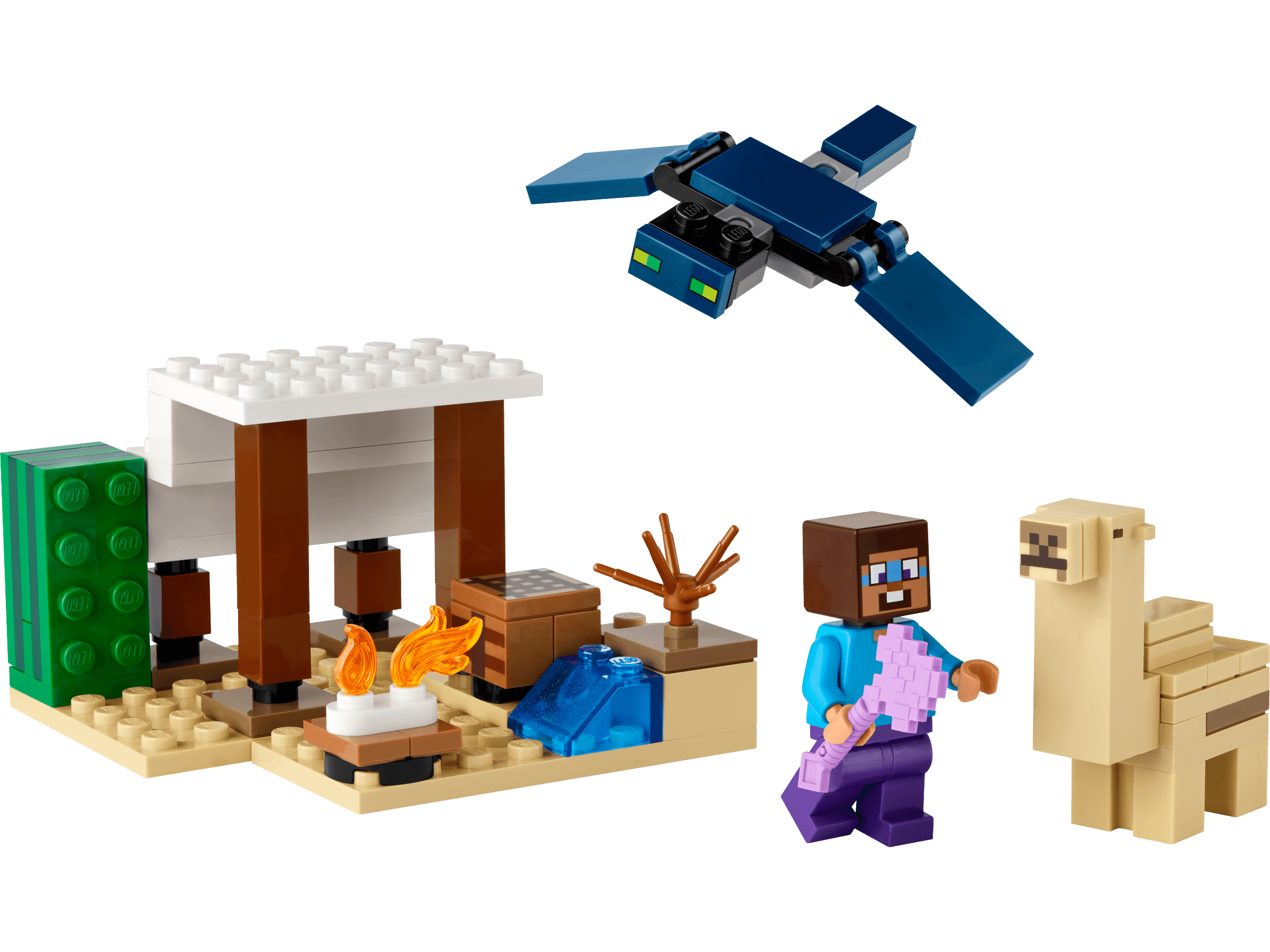 Steve's Desert Expedition