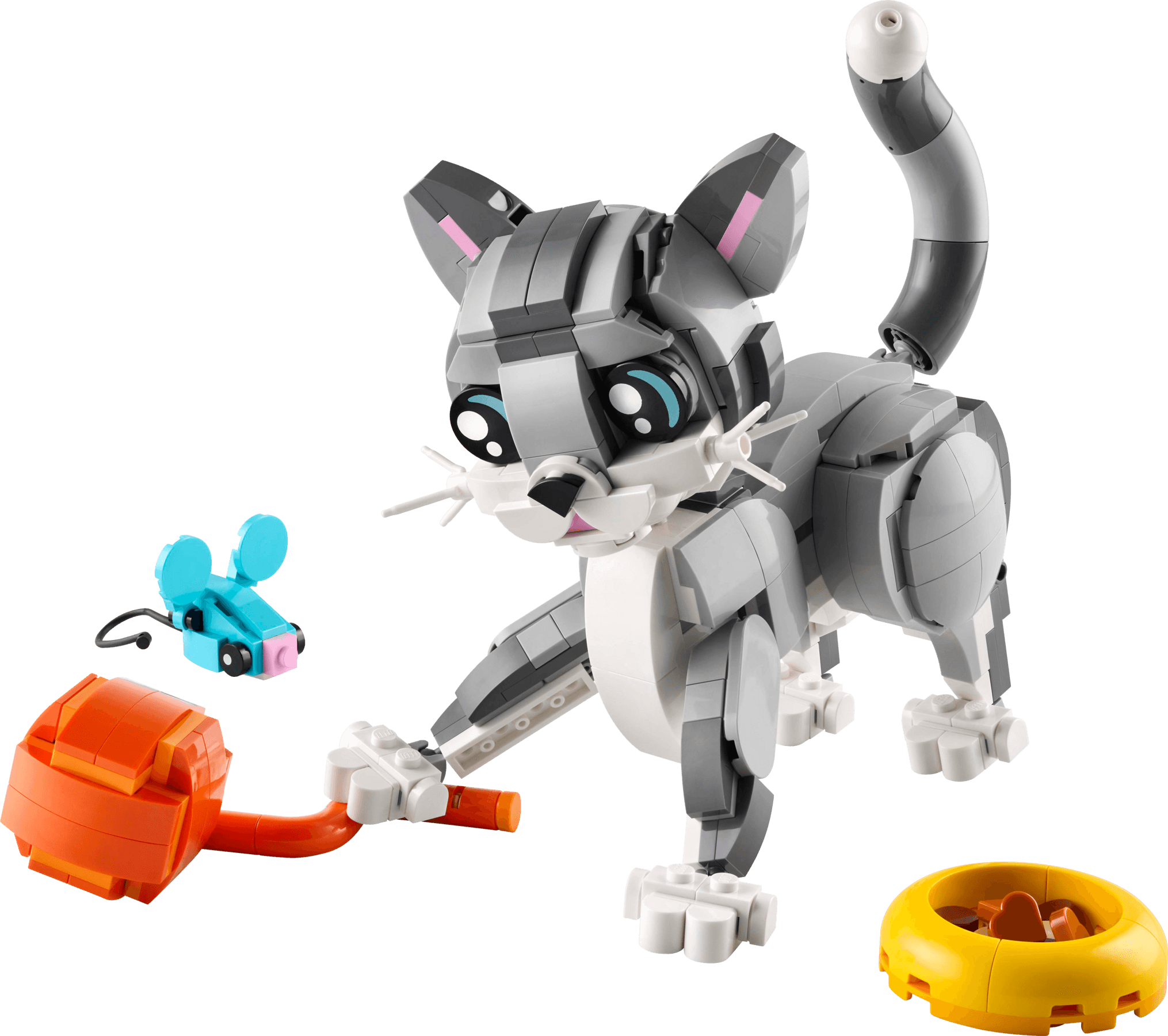 Playful Cat