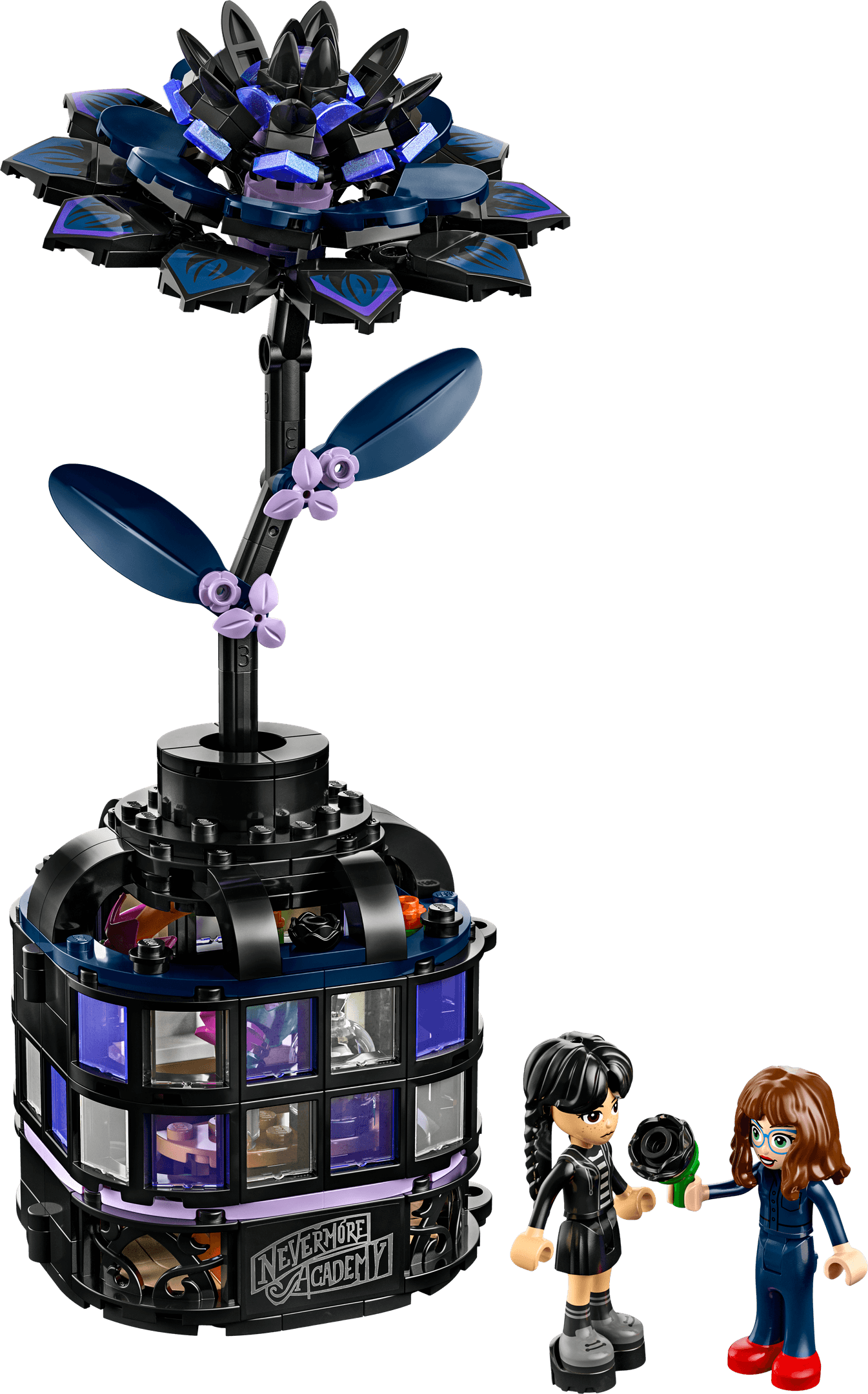Black Dahlia Flower